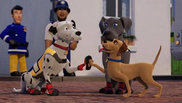 Die drei Hunde Schnuffi, Luna und Buddler mittig auf einer gepflasterten Straße. Schnuffis und Buddlers Vorderpfoten sind zur Begrüßung gehoben und berühren sich. Im Hintergrund stehen Elvis und Malcolm.
