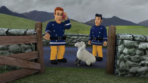 Das Gatter der Schafsweide ist kaputt. Wohin nur mit Wooly?