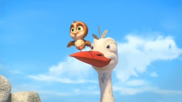 „Überflieger - Kleine Vögel, großes Geklapper“ NDR) | Rechte: NDR
