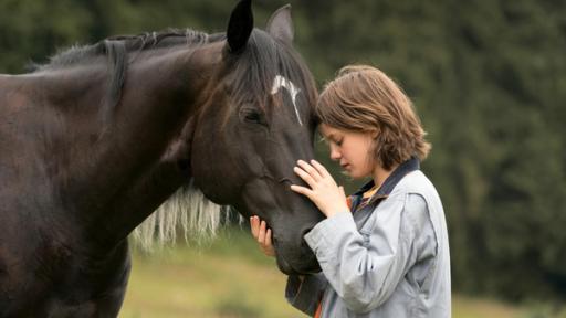 Ostwind (4) - Aris Ankunft | Rechte: 2018 Constantin Film Verleih GmbH/SamFilm GmbH/hr Ari schreichelt zärtlich über Ostwinds Nasenrücken.