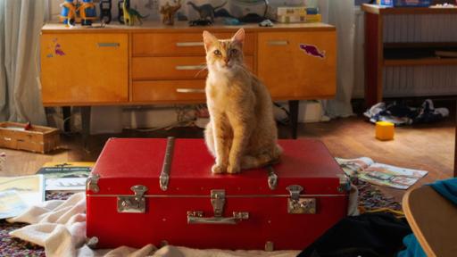 Rechte: SR/Resarevoir Audiovisuäl eG i.G./Dana Kirsch Ein Kater sitzt auf einem roten Koffer, der mittig auf dem Fußboden in einem Kinderzimmer liegt.