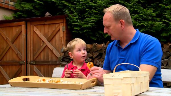 Oskar ist 4 Jahre alt und weiß schon viel über den Wald und die Pilze.