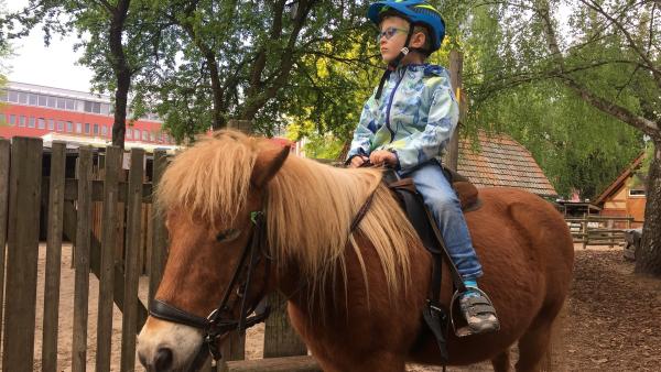 Der fünfjährige Jakob darf auf dem Ponyhof zum ersten Mal traben.