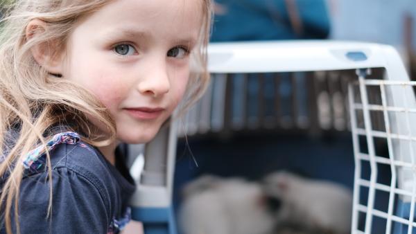 Malou schließt die Meerschweinchen in ihr Herz und kümmert sich um die neuen Mitbewohner.