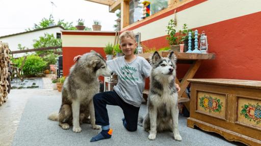 Rechte: KiKA/Monika Gröller Sid mit seinen beiden Huskys