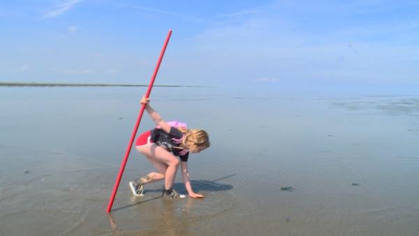 Sarah (6 Jahre) ist eine echte Watt-Expertin. Besonders fasziniert ist sie von den Krebsen, die sie auf ihrer Wanderung findet. Ihren roten Stock hat sie auf Wanderungen durchs Wasser immer dabei.