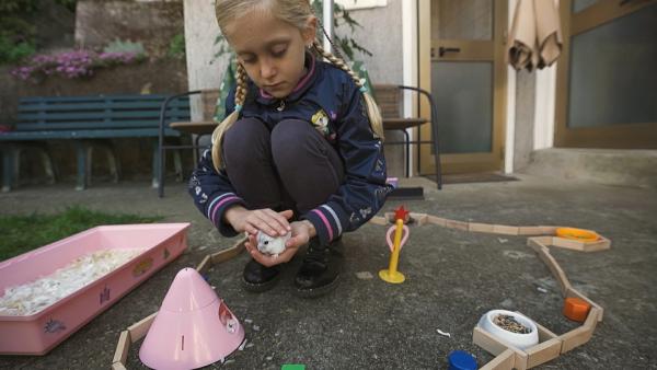 Teja (7 Jahre) baut für ihren Hamster Rosie ein Labyrinth. Auf Rosie wartet ein richtiges Abenteuer.