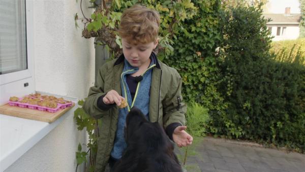 Basti füttert Hund Balduin mit seinen gebackenen Keksen.