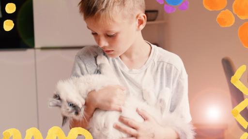 Rechte: ZDF/KiKA Grafik Der sechsjährige Mio hat Katzenbabys bekommen und kümmert sich liebevoll um die neuen Familienmitglieder. Ein Katzenbaby hält er in den Armen und kuschelt mit ihm.