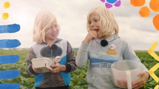 Rechte: ZDF/KiKA Grafik Die Zwillinge Sunny und Mika sind auf einem Erdbeerfeld und haben Erdbeeren gepflückt. Mika probiert eine leckere Erdbeere und Sunny schaut ihm dabei freundlich zu. Beide halten Gefäße mit Erdbeeren in der Hand. Die Ernte war erfolgreich.