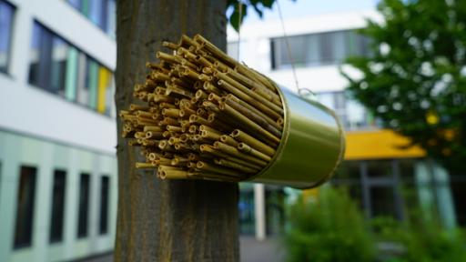 ein Insektenhotel an einem Baum