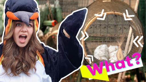 What? Sarah wird als Weihnachtsbaum verpackt! | Rechte: KiKA / Stefanie Jung
