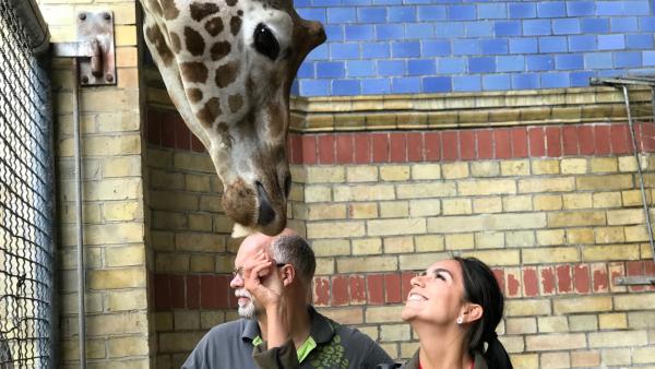 Jess hat Knäckebrot für Giraffe Max.