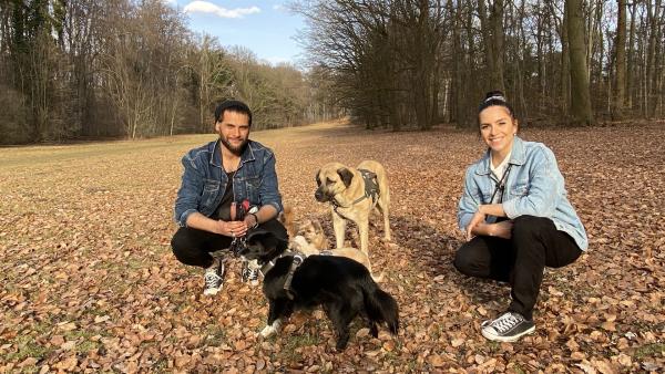 Hundespezialist Masih Samin und Jess hocken für das Foto auf der laubbedeckten Wieso, neben dem Wald. Sie haben vier Hunde dabei.