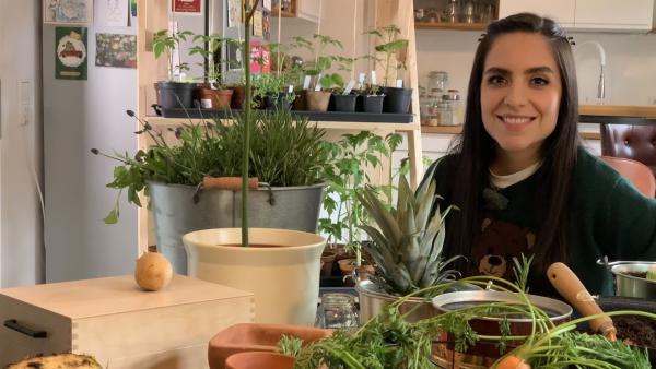Jess testet den Trend des Regrowings und Hobbygärtnerns: Kann man wirklich Salat, Avocados und Zwiebeln aus Gemüseabfällen selber ziehen?