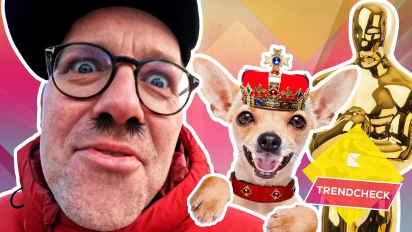 Ben ist in Berlin in Sachen Trends unterwegs. An welchen Filmen, Songs und Fashion-Pieces kommt man nicht vorbei?