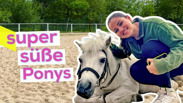 Rechts hockt Sarah neben einem liegenden Shetlandpony. Sie lächelt. Im Hintergrund ein Reitplatz mit Sandboden und Büschen dahinter. Aufschrift links: super süße Ponys.