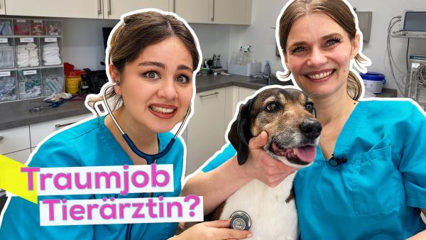 Sarah mit Stethoskop neben Tierärztin Patrizia in medizinischer Arbeitskleidung. Zwischen ihnen ein mittelgroßer Hund. Im Hintergrund der Untersuchungsraum der Praxis. Aufschrift: Traumjob Tierärztin?