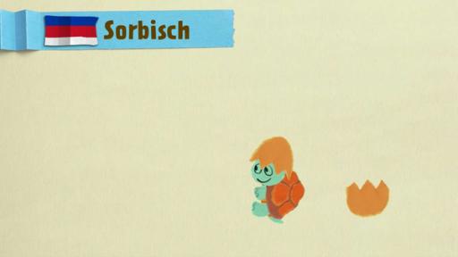 Eine Schildkröte mit Helm | Rechte: KiKA
