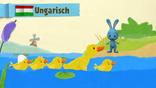 Egy rémült kiskacsa úszni tanul | Rechte: KiKA
