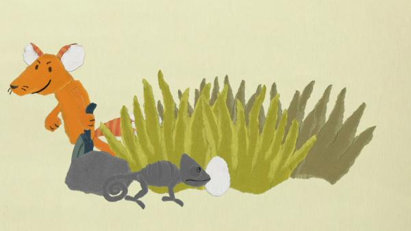 Das Chamäleon und der Fuchs | Rechte: KiKA