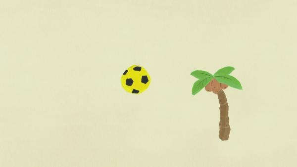 ein schwarz gelber Fußball und eine Kokospalme