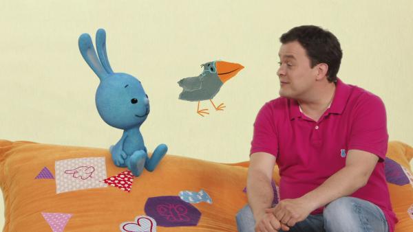 Kikaninchen und Christian auf einem orangen Kissen, dazwischen ein Vogel