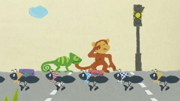 Ein Affe und ein Chamäleon sperren die Straße für die Ameisen.