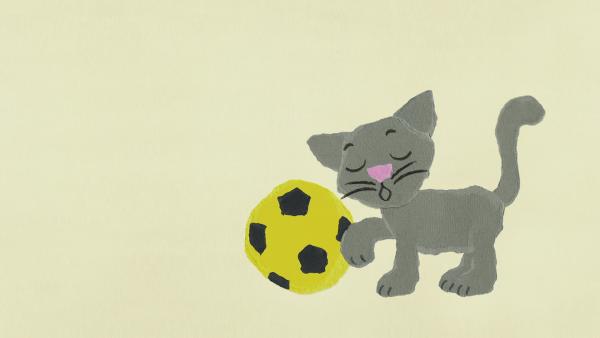 Eine Katze spielt mit dem Fussball.
