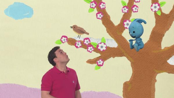Kikaninchen in einem Baum, Christian beobachtet einen Vogel