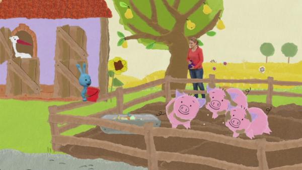 Kikaninchen und Anni vor einem Gehege mit drei rosa Schweinen