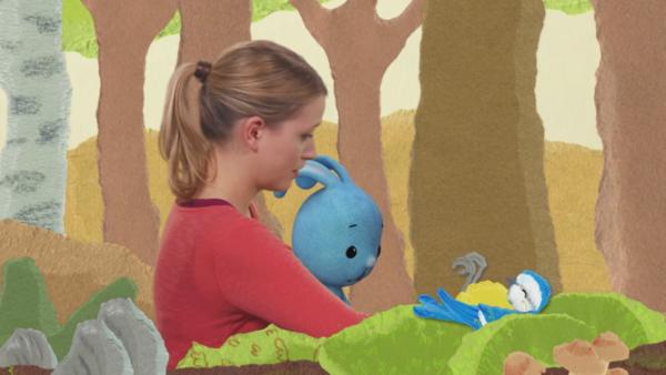 Anni und Kikaninchen im Wald beobachten eine, auf dem Rücken liegende Blaumeise.