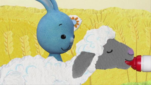 Tierkinder auf dem Bauernhof | Rechte: KiKA