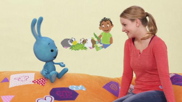 Das Klassenzimmer im Garten | Rechte: KiKA