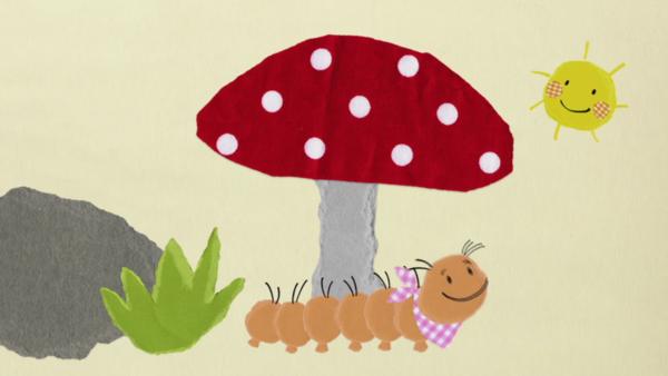 Die Raupe läuft unter dem Fliegenpilz und lächelt die Sonne an!