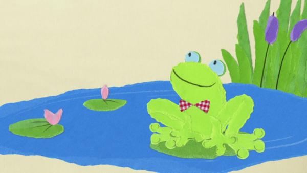 Ein hungriger Frosch sitzt auf einem Seerosenblatt im Teich. 