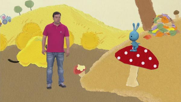 Kikaninchen steht auf einem großen Fliegenpilz und schaut zu Christian.