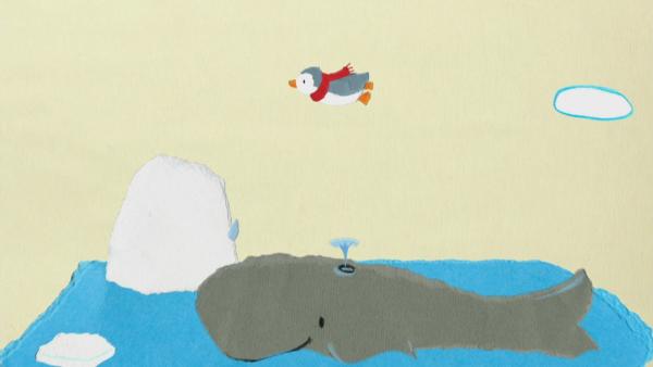 Ein Wal hilft einem Pinguin zu fliegen | Rechte: mdr