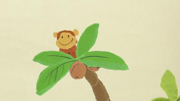 Ein Affe sitzt oben auf einer Kokospalme