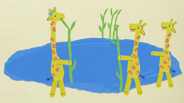 Drei Giraffen stehen um einen Teich. Gerda trinkt aus einem Strohhalm aus Schilf. 