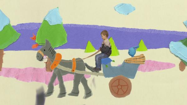 Ein Junge und Kikaninchen fahren in einer Pferdekutsche
