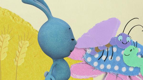 Aus einer Raupe wird ein Schmetterling | Rechte: KiKA