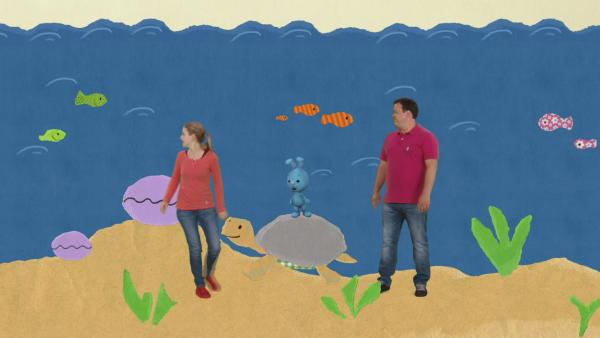 Anni, Christian, KiKANiNCHEN und eine Schildkröte unter Wasser