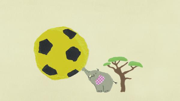 Ein Elefant bläst einen Fussball mit seinem Rüssel auf.