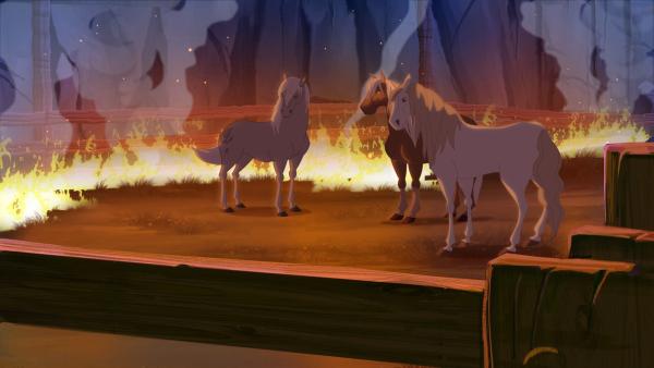 Das Feuer wüted und die Pferde sind noch immer eingesperrt und können nicht fliehen.