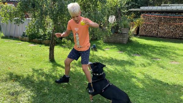 Bruno spielt mit seinem Hund Knicki im Garten.