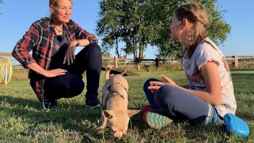 Liebste Fellnasen - Abenteuer Hundeschule (8) | Rechte: MITTELDEUTSCHER RUNDFUNK Alissa und Bambi in der Hundeschule.