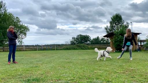 Liebste Fellnasen - Abenteuer Hundeschule (7) | Rechte: MITTELDEUTSCHER RUNDFUNK Shira hört auf Lillis Handzeichen.