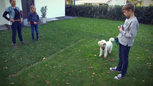 Folge 13: Finale für Bruno und Knicki (S02/E13) | Rechte: MITTELDEUTSCHER RUNDFUNK Training mit Lehrerin, einem Mädchen und übenden Jungen mit Hund
