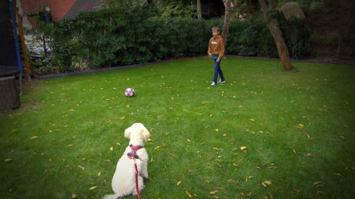Folge 11: Langsam geht es um die Wurst (S02/E11) | Rechte: MITTELDEUTSCHER RUNDFUNK Junge mit Hund spielt Fussball
